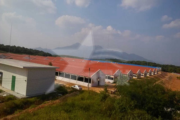 广州建材市场什么样的树脂瓦质量好
